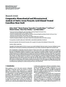 Comparative Biomechanical and Microstructural Analysis of Native versus Peracetic Acid-Ethanol Treated Cancellous Bone Graft