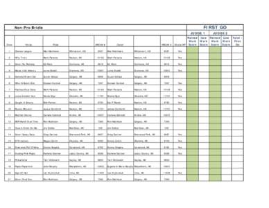 FIRST GO  Non-Pro Bridle JUDGE 1