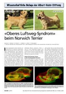 Wissenschaftliche Beilage der Albert-Heim-Stiftung Abb. 2 Norwich Terrier