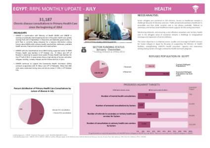 EGYPT: RRP6 MONTHLY UPDATE - JULY  HEALTH NEEDS ANALYSIS:  31,187