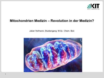 Mitochondrien Medizin – Revolution in der Medizin? Julian Hofmann, Studiengang: M.Sc. Chem. Biol. 1  Was ist ein Mitochondrium?
