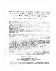 STRUCTURE AND FUNCTION OF THE PECTORAL GIRDLE AND FORELIMB OF STRUTHIOMIMUS ALTUS (THEROPODA: ORNITHOMIMIDAE)