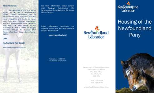 Newfoundland pony / Horse care / Pony / Horse / New Forest pony / Equidae / Equus / Breeding