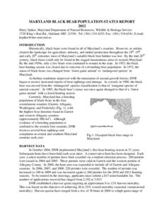 MARYLAND BLACK BEAR POPULATION STATUS REPORT 2012 Harry Spiker, Maryland Department of Natural Resources, Wildlife & Heritage Service 1728 King’s Run Rd., Oakland, MD[removed]Tel: ([removed]; Fax: ([removed]; E-