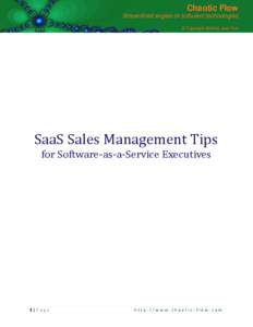 Chaotic Flow Streamlined angles on turbulent technologies © Copyright 2009 by Joel York SaaS Sales Management Tips for Software-as-a-Service Executives