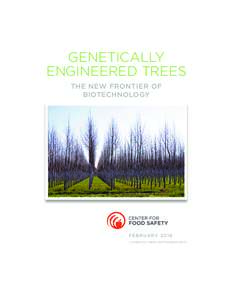 GENETICALLY ENGINEERED TREES THE NEW FRONTIER OF BIOTECHNOLOGY  FEBR UARY 2 016