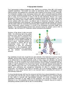 P-Glycoprotein Overview The P-glycoprotein multidrug transporter (Pgp, ABCB1) is a member of the ABC (ATP-binding cassette) superfamily. This protein can export an astonishing variety of amphipathic drugs, natural produc