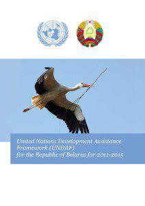 United Nations Development Assistance Framework (UNDAF) for the Republic of Belarus for[removed]