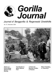 Primatologists / Mountain gorilla / Virunga Mountains / Kahuzi-Biéga National Park / International Gorilla Conservation Programme / Mgahinga Gorilla National Park / Dian Fossey / Institut Congolais pour la Conservation de la Nature / Virunga National Park / Africa / Gorillas / Kisoro District