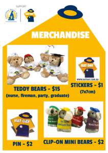 SUPPORT  MERCHANDISE TEDDY BEARS - $15 (nurse, fireman, party, graduate)