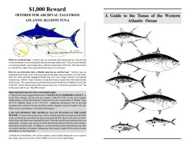 $1,000 Reward OFFERED FOR ARCHIVAL TAGS FROM ATLANTIC BLUEFIN TUNA What are archival tags? Archival tags are electronic data-logging devices that provide location estimates by measuring light intensity through a light se