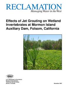 Effects of Jet Grouting on Wetland Invertebrates at Mormon Island Auxiliary Dam, Folsom, California U.S. Department of the Interior Bureau of Reclamation