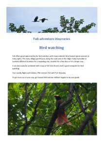 Tufi adventure itineraries  Bird watching Tufi offers great opportunities for bird watchers with many endemic New Guinea species present at many sights. The many village guesthouses along the coast and on the ridges make