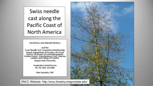 Swiss needle cast along the Pacific Coast of North America David Shaw and Gabriela Ritokova