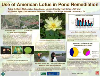 Use of American Lotus in Pond Remediation