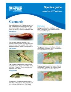 Seafish Species Guide - Gurnard 2012