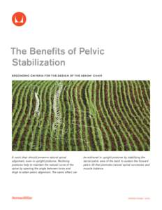 Solution Essay: The Benefits of Pelvic Stabilization