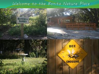Bonita Nature Place Mission Statement The Bonita Nature Place will provide a local place for learning experiences, volunteerism, and outdoor family activities that strengthens the environmental stewardship commitment wi