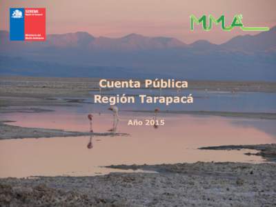 Cuenta Pública Región Tarapacá Año 2015 RESIDUOS •