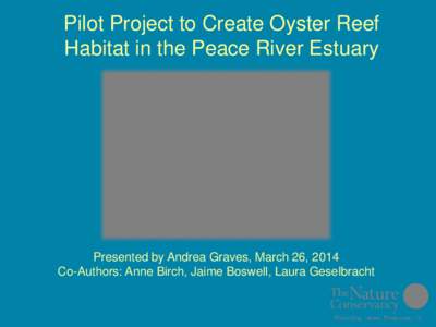 Pilot Project to Create Oyster Reef Habitat in the Peace River Estuary Presented by Andrea Graves, March 26, 2014 Co-Authors: Anne Birch, Jaime Boswell, Laura Geselbracht