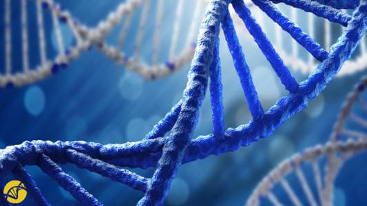 Whole Genome vs Home Testing Kit  99.9% IDENTICAL  