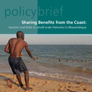 eng policy brief_mozamb.indd