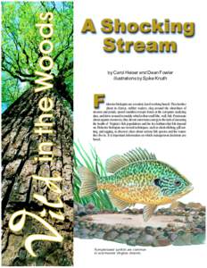 by Carol Heiser and Dean Fowler illustrations by Spike Knuth isheries biologists are a modest, hard-working bunch. They lumber about in clumsy, rubber waders, slog around the shorelines of streams and ponds, spend countl