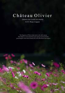 Dossier de Presse Château Olivier