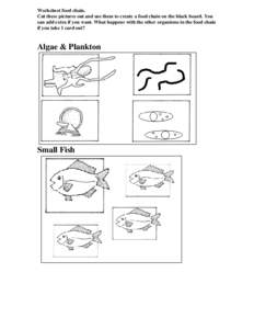 Worksheet food chain. Cut these pictures out and use them to create a food chain on the black board. You can add extra if you want. What happens with the other organisms in the food chain if you take 1 card out?  Algae &