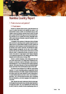 Namibia Country Report 1. Trade structure and patterns1 1.1 Trade balance Namibia has abundant natural resources, good infrastructure and access to markets, but contrary to this potential, the economy is not well diversi