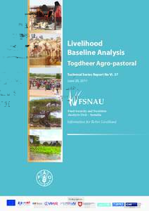 Development / Food politics / Togdheer / Economies / Pastoralism / Pastoralists / Burao / Somaliland / Food security / Livestock / Geography of Africa / Africa