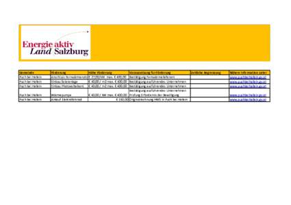 Gemeindeförderungen_Puch bei Hallein.xlsx