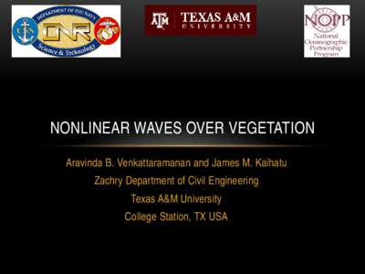 Nonlinear Waves over Vegetation