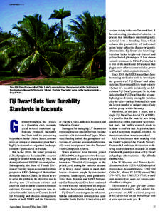 ALAN MEEROW (D1111-1)  Two Fiji Dwarf (also called “Niu Leka”) coconut trees (foreground) at the Subtropical Horticulture Research Station in Miami, Florida. The taller palm in the background is a Royal Palm.