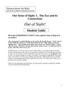 Neuroscience for Kids http://faculty.washington.edu/chudler/neurok.html Our Sense of Sight: 1. The Eye and its Connections