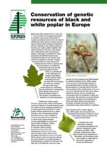 EUFORGEN  EUFORGEN (European Forest Genetic Resources Programme) C/o Bioversity