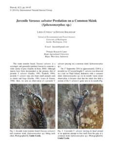 Biawak, 8(2), pp © 2014 by International Varanid Interest Group Juvenile Varanus salvator Predation on a Common Skink (Sphenomorphus sp.) LINDA UYEDA1,2 & ENTANG ISKANDAR3