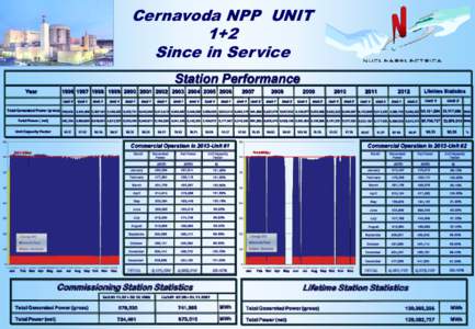 Cernavoda NPP UNIT 1+2 Since in Service Station Performance Year