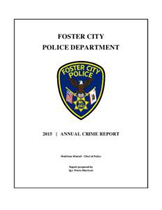 2015 Annual crime report (2)