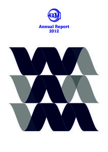 anual report cover_lukas_coulour_corection