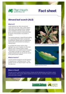 Fact sheet Almond leaf scorch (ALS) What is it? Jack Kelly Clark, UC Statewide IPM Program