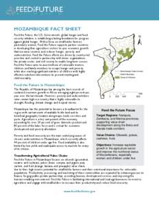 MOZAMBIQUE FACT SHEET Feed the Future, the U.S. Government’s global hunger and food security initiative, is establishing a lasting foundation for progress against global hunger. With a focus on smallholder farmers, par