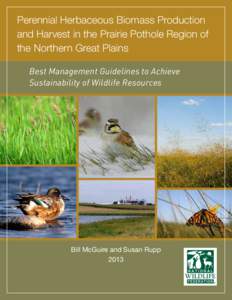 Perennial Herbaceous Biomass Production and Harvest in the Prairie Pothole Region of the Northern Great Plains Best Management Guidelines to Achieve Sustainability of Wildlife Resources