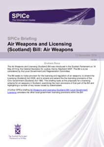 Air Weapons and Licensing (Scotland) Bill: Air Weapons