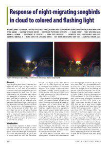 Response of night-migrating songbirds in cloud to colored and flashing light WILLIAM R. EVANS • OLD BIRD, INC. • 605 WEST STATE STREET • ITHACA, NEW YORK 14850 • (CORRESPONDING AUTHOR; E-MAIL: [removed])