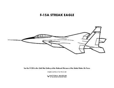 Microsoft Word - F-15A Streak Eagle.doc