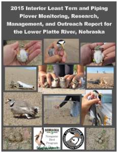 2015 Interior Least Tern and Piping Plover Monitoring, Research, Management, and Outreach Report for the Lower Platte River, Nebraska  2015
