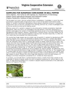 SAMPLING FOR EUROPEAN CORN BORER IN BELL PEPPER Vonny Barlow, Tom Kuhar & John Speese III, Department of Entomology Eastern Shore Agricultural Research and Extension Center Virginia Polytechnic Institute & State Universi