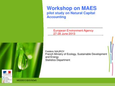 Workshop on MAES pilot study on Natural Capital Accounting European Environment AgencyJune 2013