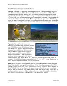 Hawaiian Bird Conservation Action Plan  Focal Species: Palila (Loxioides bailleui) Synopsis: The Palila is a specialized Hawaiian honeycreeper with a population of only 1,263 birds that are restricted to 45 km2 of remnan